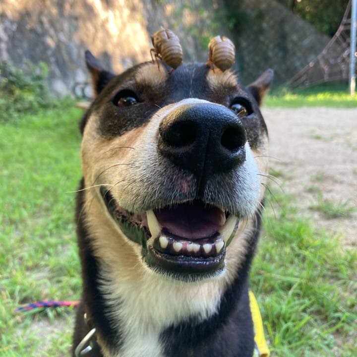 F5995c5d bf2f 44cd b51c a9301b4063b2 1690009819680