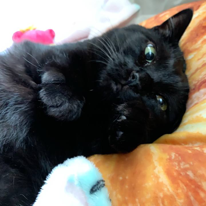 F599786d a927 4546 95aa 5bc075cc20da 1563089364717