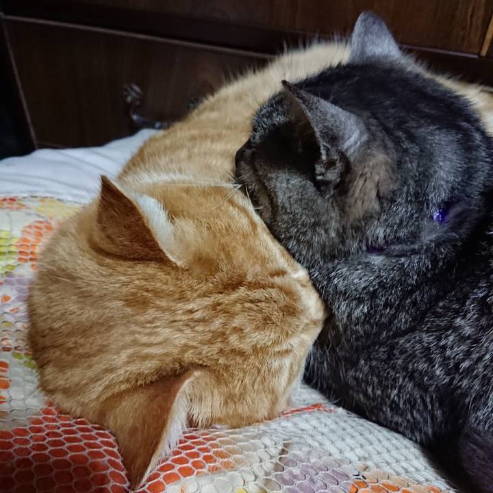 F599a340 10cc 4d07 a212 22b44ba53b3a 1578316880372