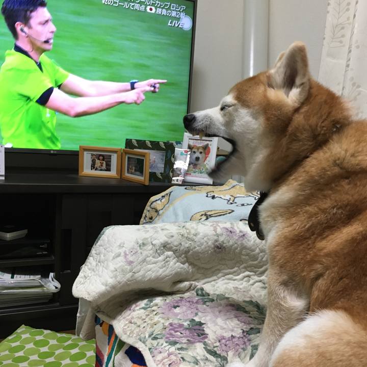 F599ffc4 189f 45be b943 41288887e74a 1529855696696