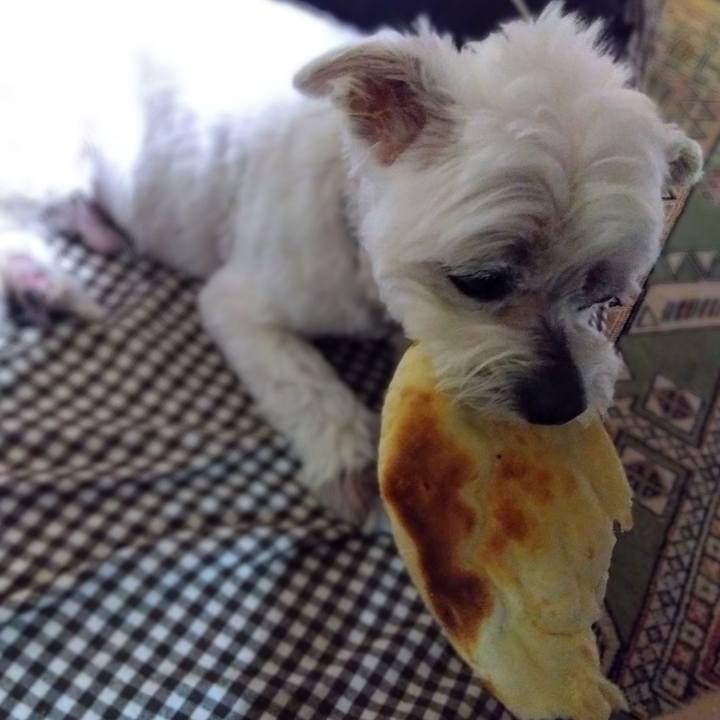 F59a149c 83b5 4e5f a385 d5b700c58cfd 1746099097266