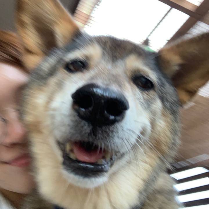 F59a38f0 4410 4479 9779 d74d8b9c0be9 1563176168714