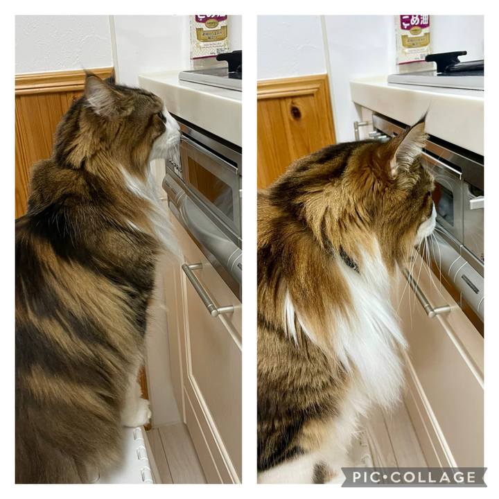 F59a3f11 6081 4962 b05b 9281f8c4f6a6 1737186541984