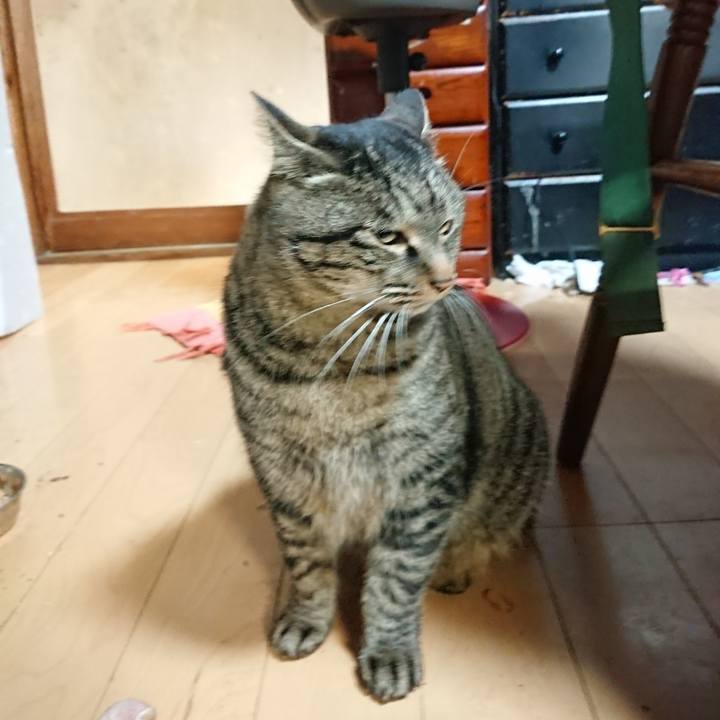 F59a6b7d 13b1 47e2 9921 866621ceb390 1640425210615