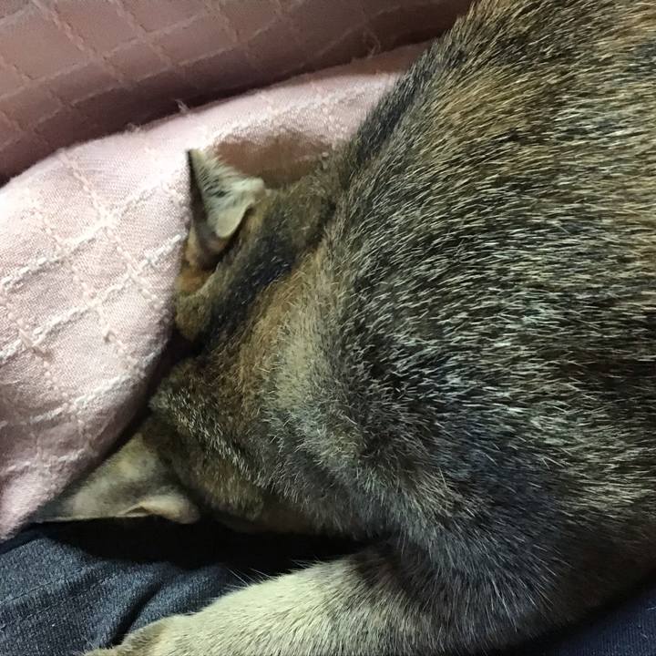 F59a7473 38c5 4893 82d1 8de85393ef3a 1575354696926