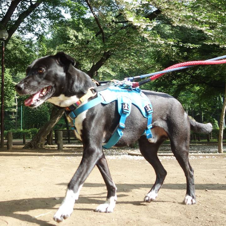 F59aa927 9f42 49bf 93cb 2ca415b467f1 1620952326804