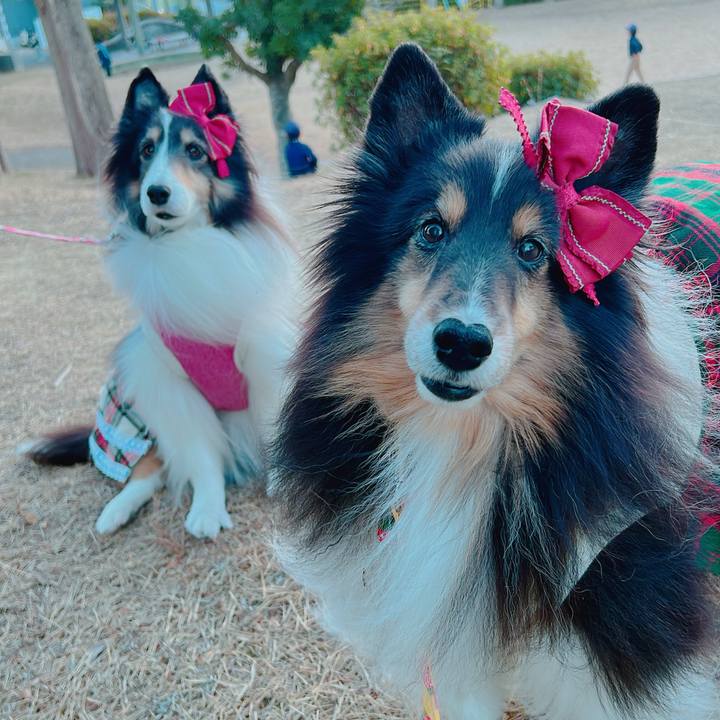 F59b1aa9 72f1 45c7 9645 1362a109416c 1704907287747