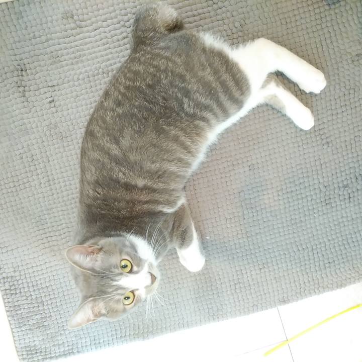 F59b63da ab61 4fda 942b 2a0993b41774 1589325612638