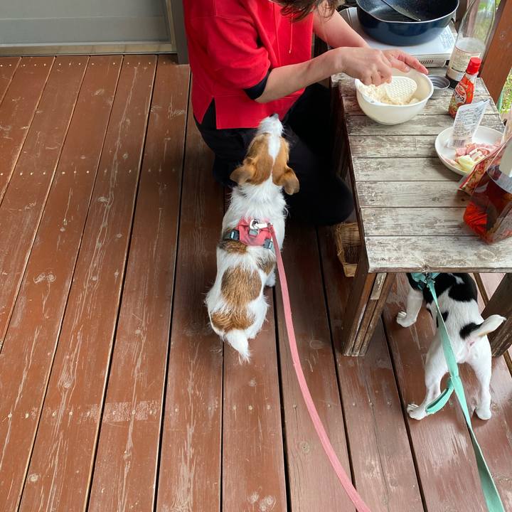 F59b8805 6bdf 4f14 81fe 82ae57eb0f61 1746362950465