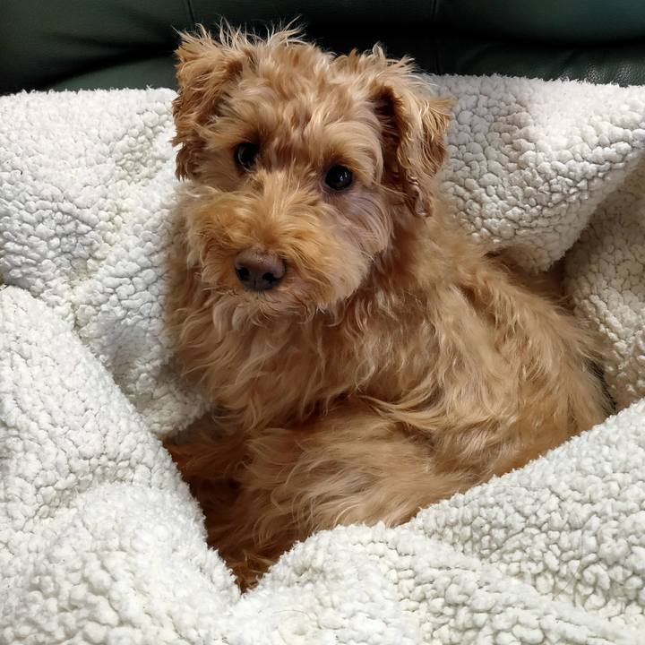 F59b9a78 d8f0 44a0 8673 fedbd009e5b3 1610408298980