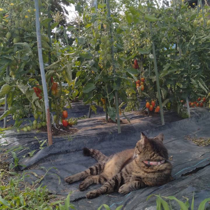 F59ba466 5bda 4f36 8d09 551755bd6971 1721296304565