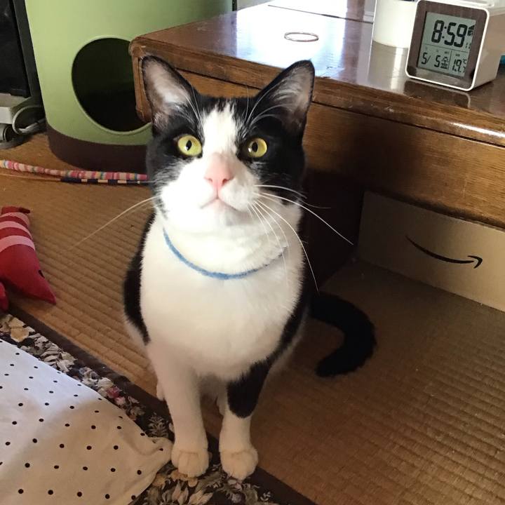 F59ba9d4 ea1e 4aad b234 f3f5c384dd5c 1683276166982