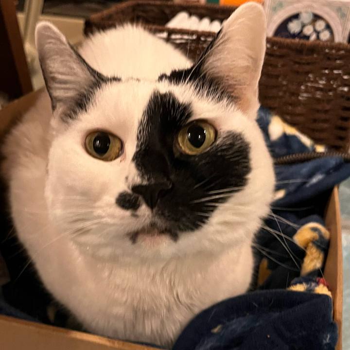 F59bb13d b76e 458a b83a 920a272994d5 1765376498746