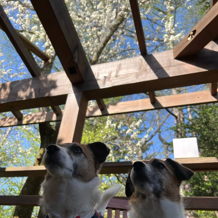 F59bc2c1 d9ee 4d6f 8fce e0827ab8ed75 1714355937238