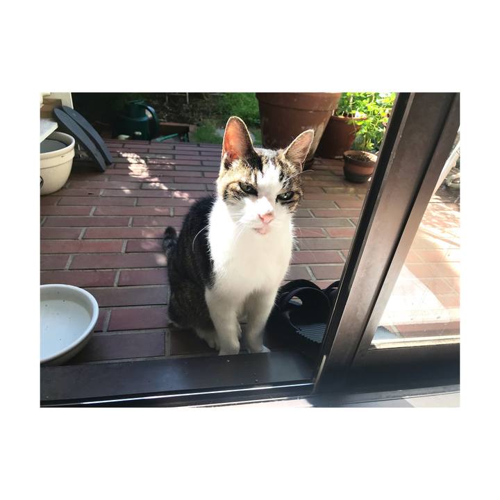 F59bf2d0 45d6 4e2c a2ed 89d94b7601ea 1664329757461