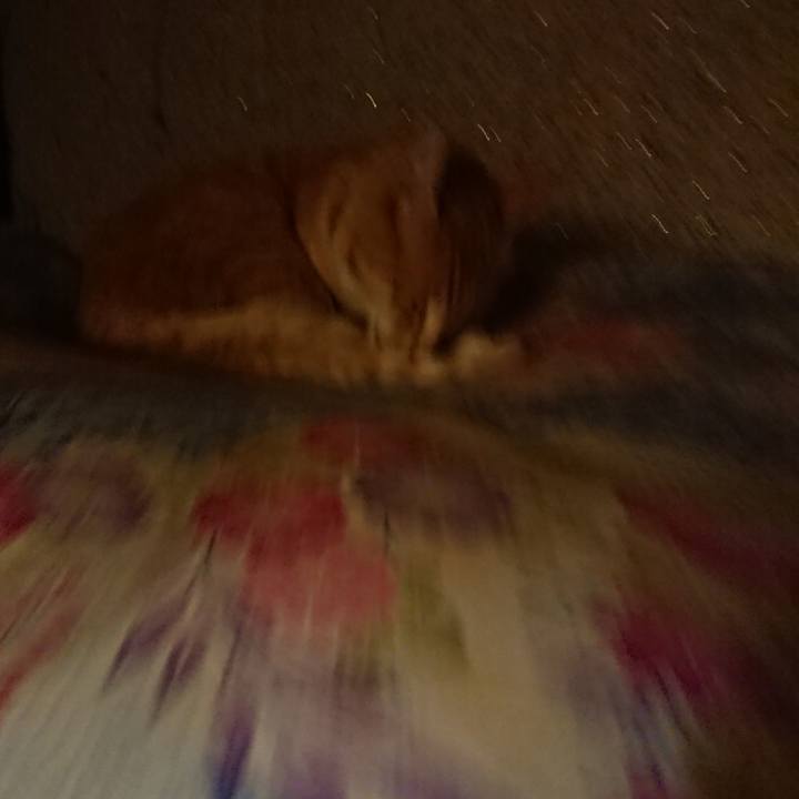 F59c2800 18c3 4f21 8259 3f473b4538d0 1593435460271