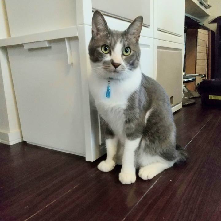 F59c2dbd 88a3 4c3a a622 0f2ac7e160f3 1620771867924