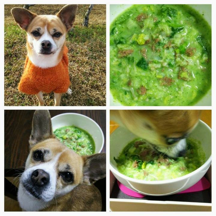 F59c505f c5b2 4d62 8dce 522dc0f30035 1583658208928