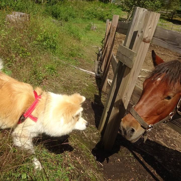 F59cdbc6 d976 457a af7b 7f21aa4d21c7 1600607805712