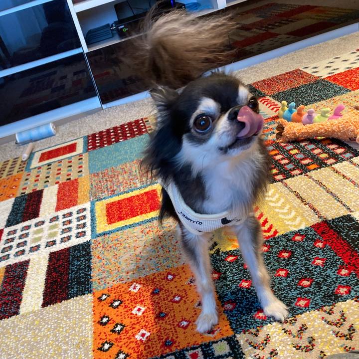 F59cfde3 46b1 46e2 a6f4 a515b5ba7dd0 1714396587266