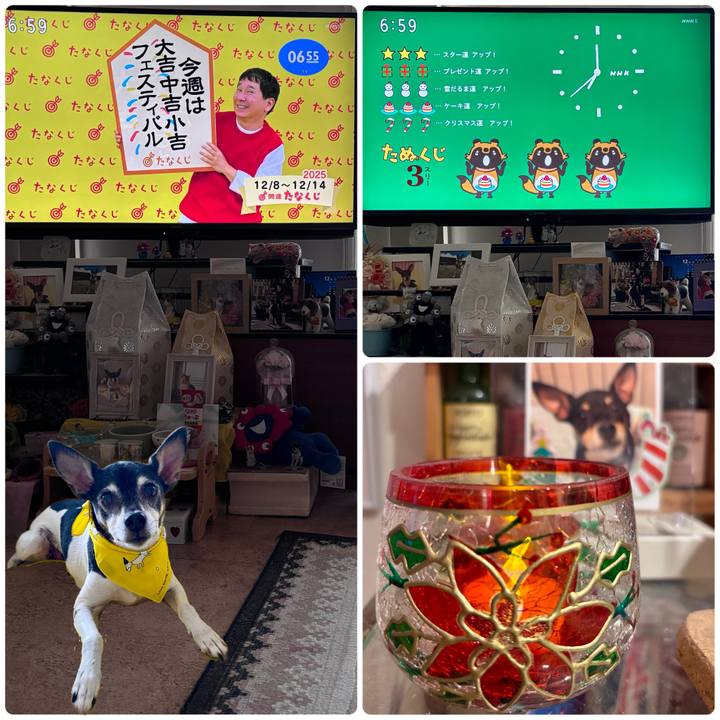 F59d12ad 6a25 4b65 ae92 862c054aca9c 1765145801748