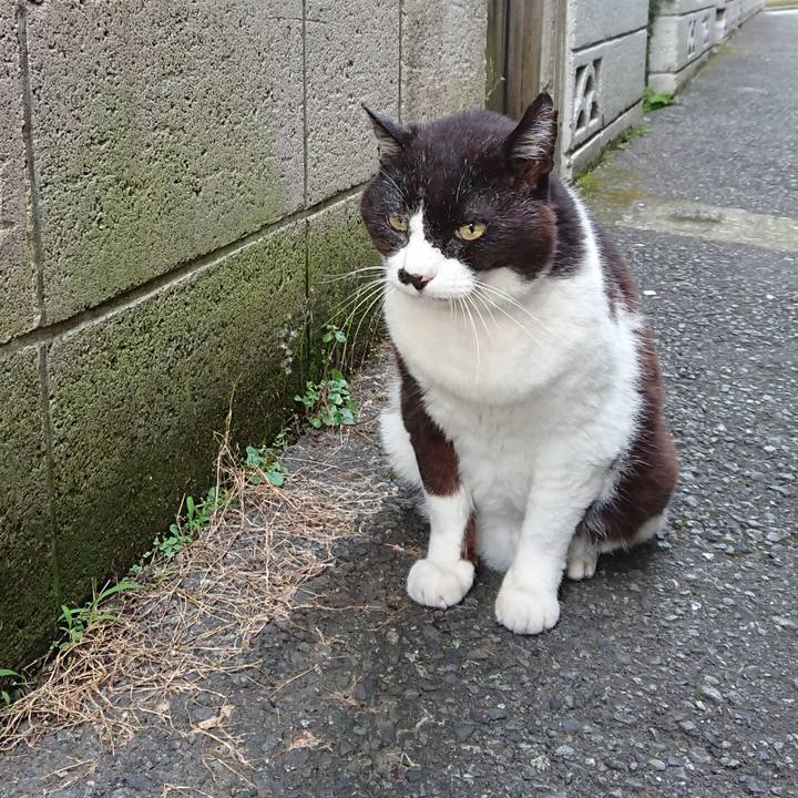 F59d6b2b 6916 4a64 b478 63ac174ec5dd 1686732325478