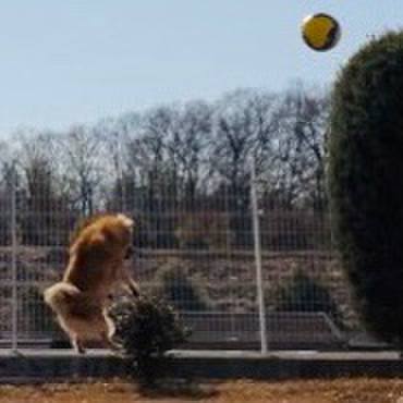 F59d9865 a8ff 4301 84cc df3d67ceecbb 1613884290270