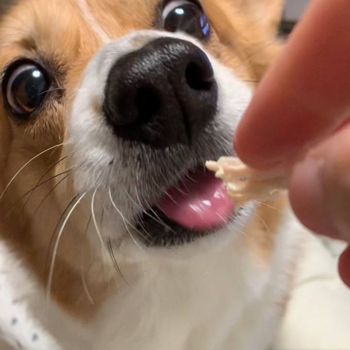 F59dd166 3b15 4afc 9e31 e236d95932a6 1613361317764