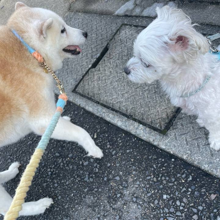 F59dfec1 22ef 485c b888 ba261c95ba57 1694440455500