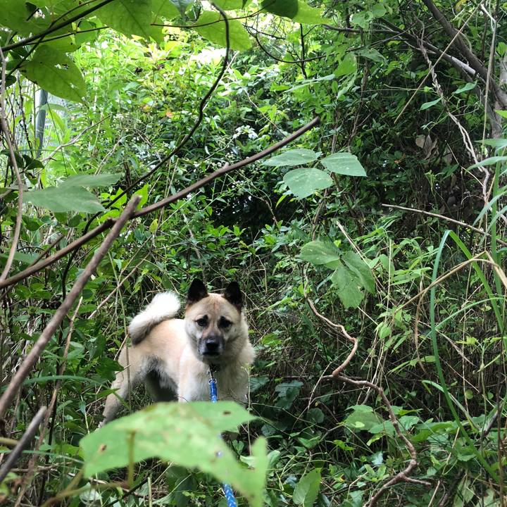 F59e0c3f 22e6 4747 bd01 a5902feb5113 1595160149021