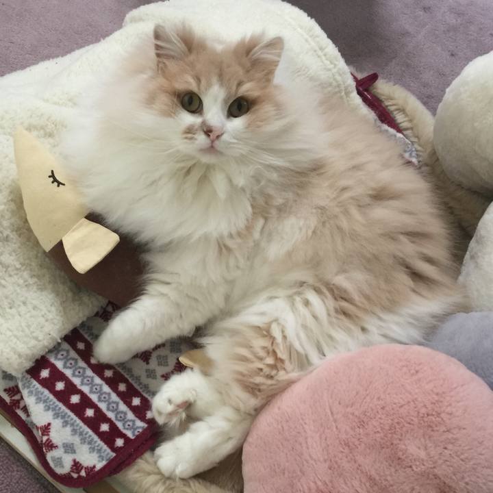 F59e1760 2c16 4a5b 8659 3c5c1d6a4aaa 1518440895020