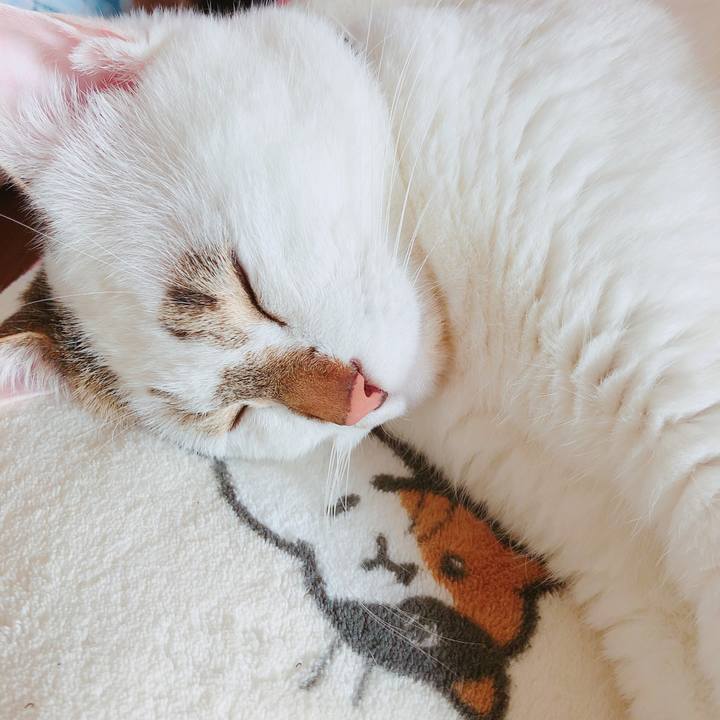 F59e4229 4543 4538 b0d1 f878ba9f012e 1537340244403