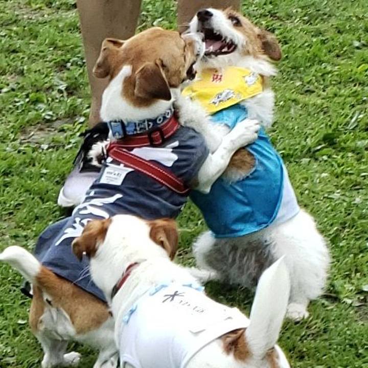 F59e5b6f 174a 4353 b2e7 9b512960cb14 1566785947194