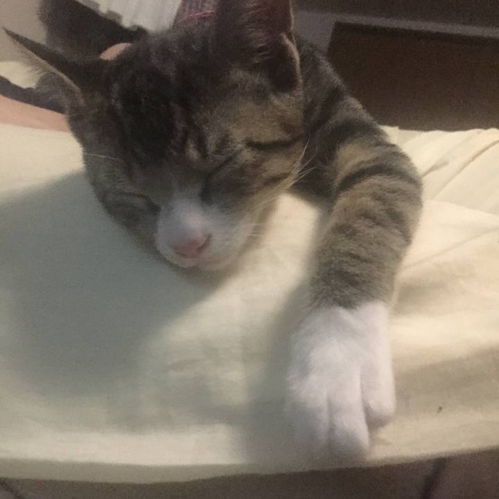 F59e6560 be5e 4634 b59e d554c6b9271c 1656547812191