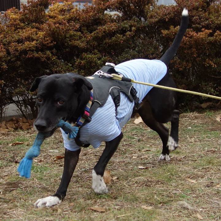 F59e7437 8d1b 462e 9b54 726bfd5d597e 1641087262997