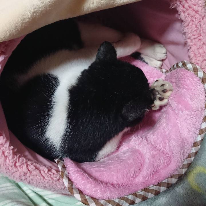 F59e93cf 15dd 47a3 aa41 4fe1082a3e14 1573653350971