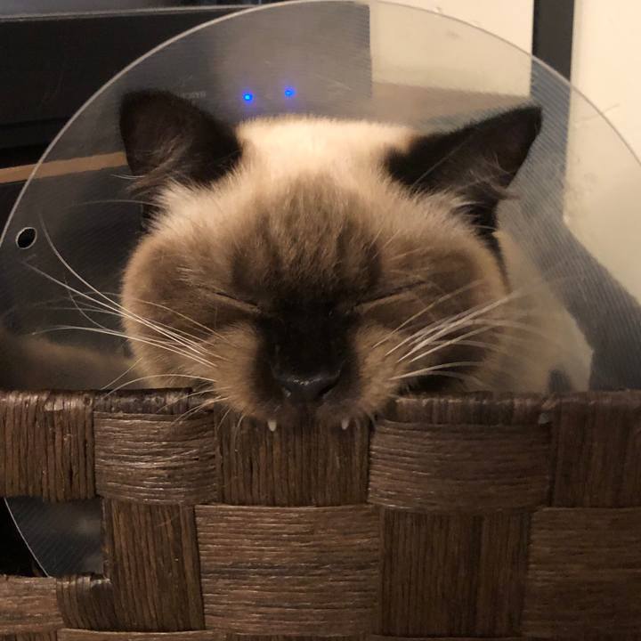 F59ea1d9 073f 40e8 98ba b13595622e61 1599553713959