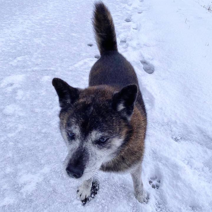 F59ec164 4d88 4cfd 85e0 e6516d301d2d 1702854055142