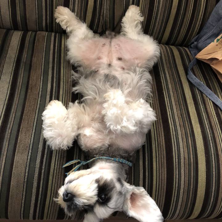 F59f0b06 023b 4ec5 b7d4 b1d522e436eb 1539131657569