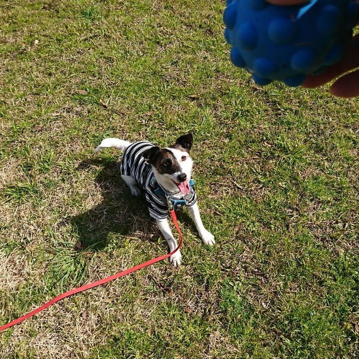 F59f1e5a 3e93 4136 834b 7df3cee80bbe 1582431083726