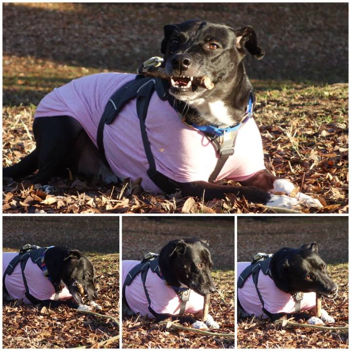 F59f3167 8ab3 4218 99b3 da5e10ecea9c 1640134354674