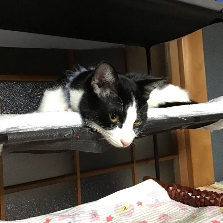 F59f31ec 4dac 49ec 82df 6322747471f0 1641892267482