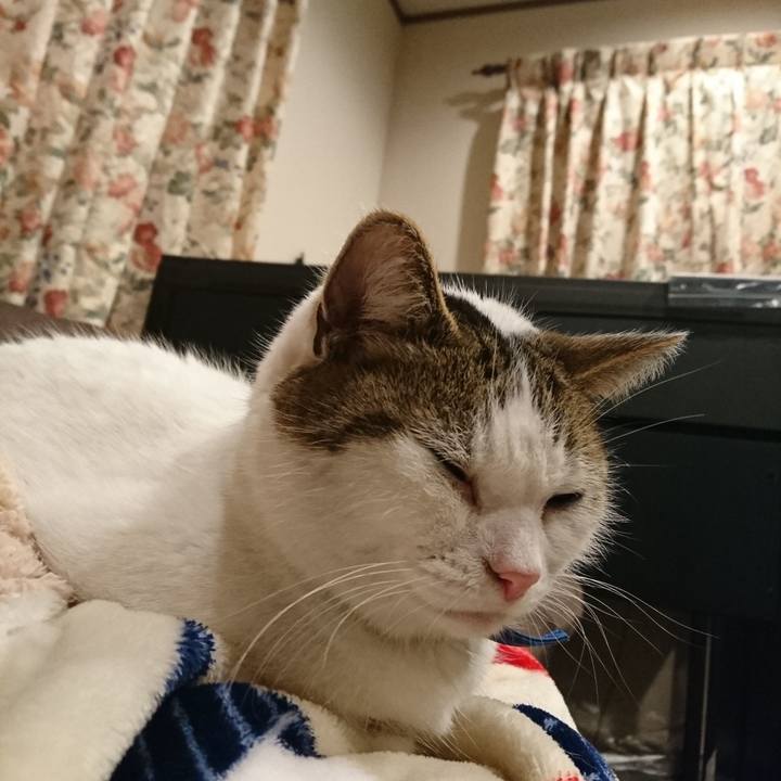 F59f46d7 f53b 4006 b300 ce295cc1329a 1577119830691