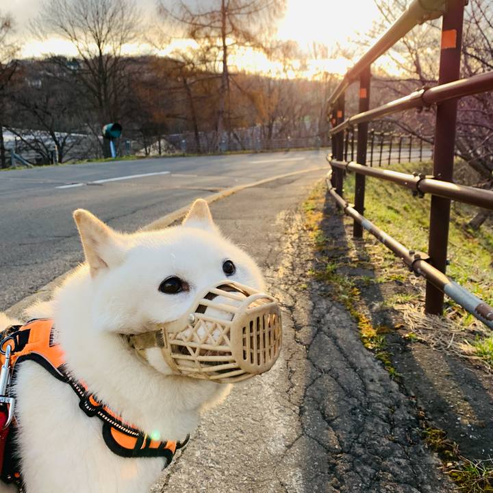 F59f63f8 8600 4a4a b672 eed2b31960a0 1650058150101