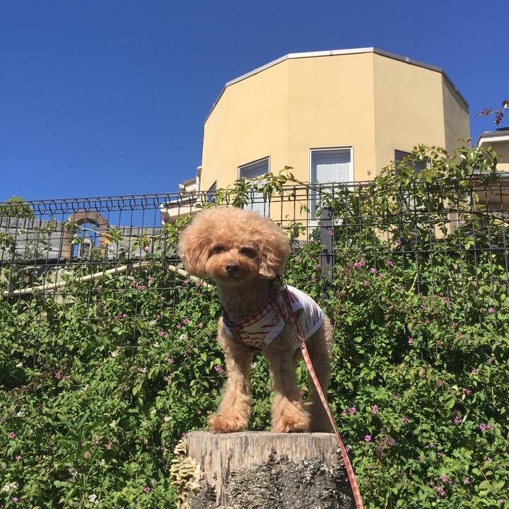 F59f7bc4 06da 49e1 a71c b50508e64715 1508734990897