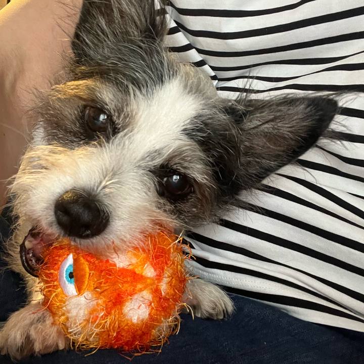 F59f91ef d7ea 49fa ab4a 82ece1a6e158 1757742861113