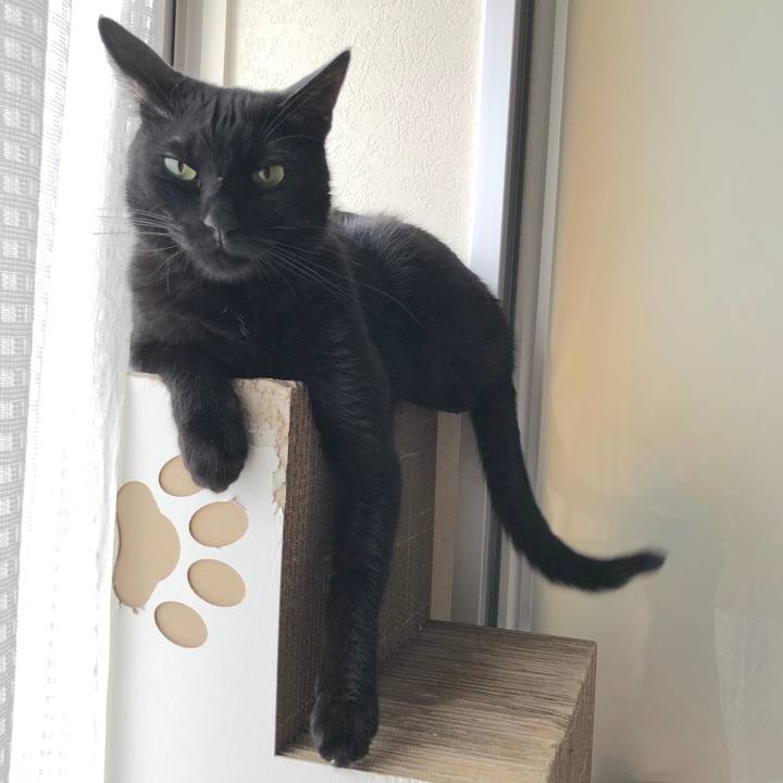 F59fb221 7287 49a3 adaf 88af9ae42853 1564324378305