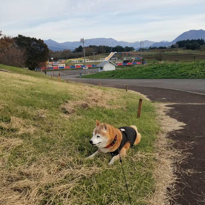 F59fbff8 7aee 45f0 9bda 185054cb00a9 1730357597509