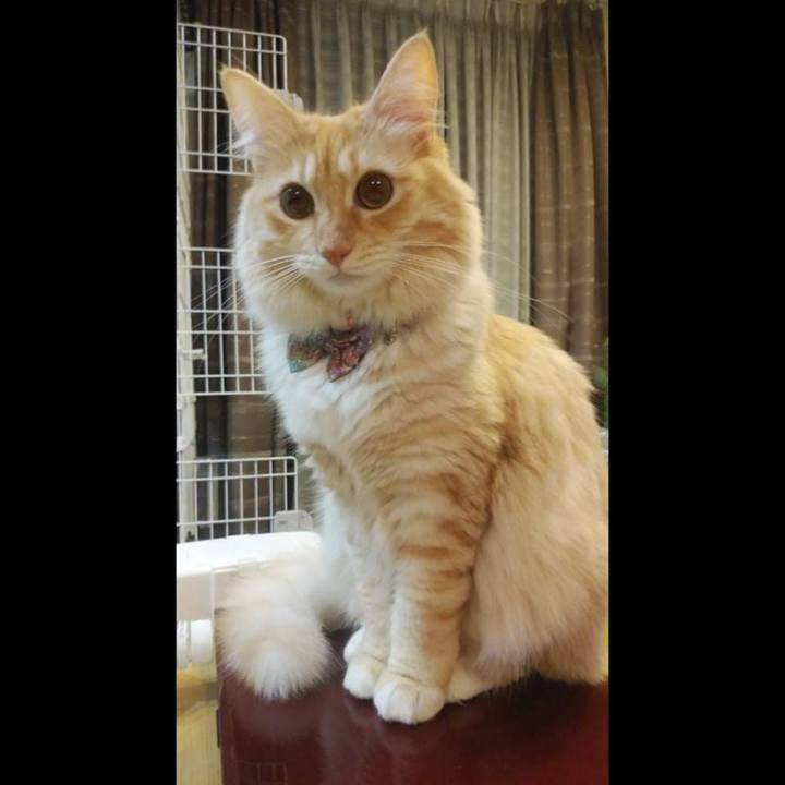 F59fd3f8 5ce1 46e7 83e5 7f9671410ac7 1635419721493