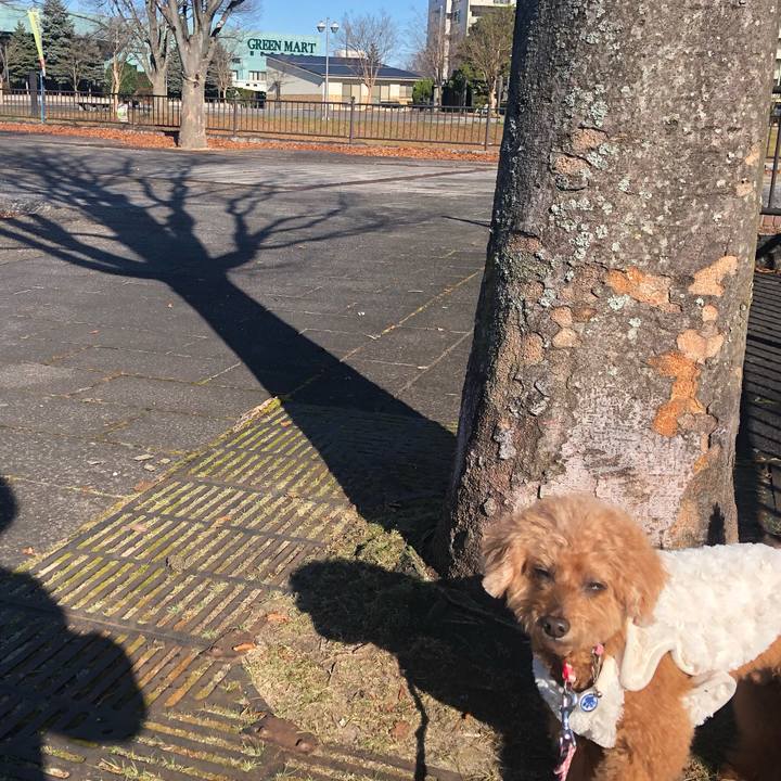 F5a00d3e 13aa 4f1b aac6 272c1fa9fee3 1607227663508